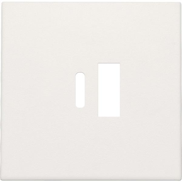 Enjoliveur pour double chargeur USB-A et USB-C intelligent, white