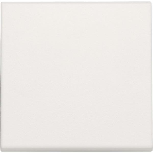 Manette pour variateur LED 2-100W, blanc
