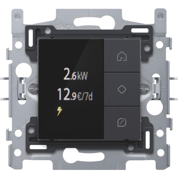 Home Control ecodisplay