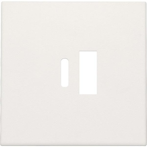 [NIK101-68002] Enjoliveur pour double chargeur USB-A et USB-C intelligent, white