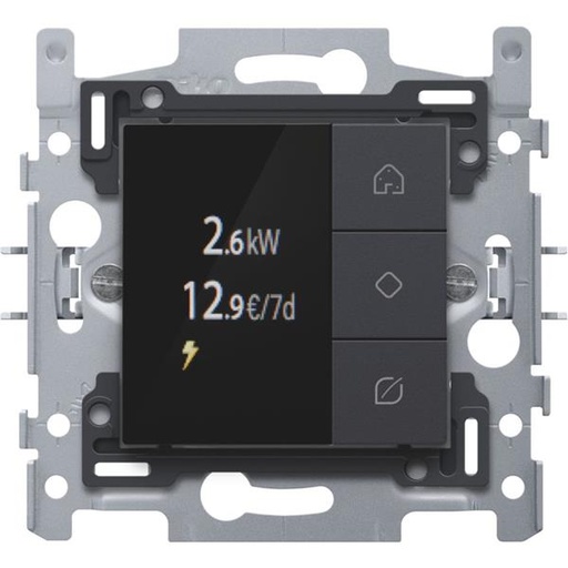 [NIK550-13080] Home Control ecodisplay